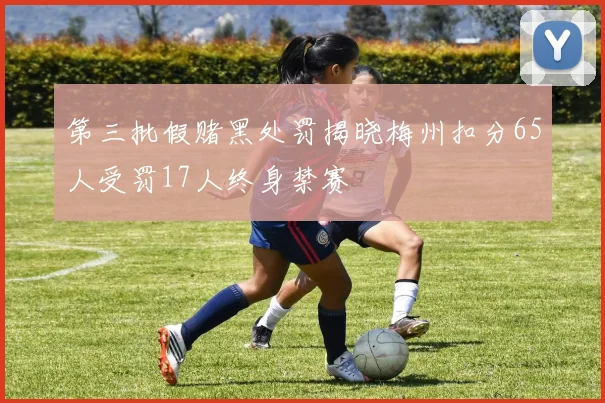 第三批假赌黑处罚揭晓梅州扣分65人受罚17人终身禁赛